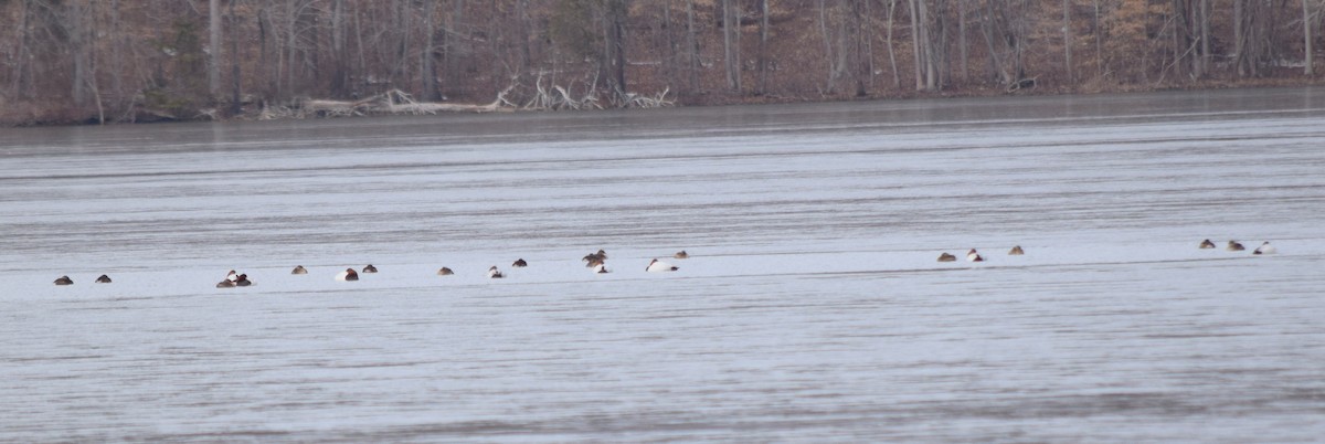 kanvasand - ML655421229