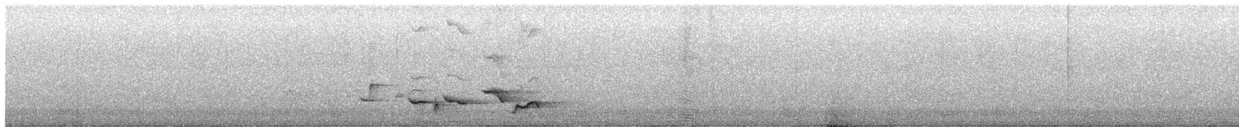 Scott's Oriole - ML655440551