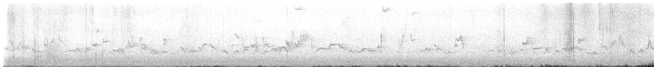 Eastern Warbling Vireo - ML655461893