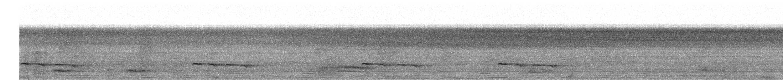 Banded Bay Cuckoo - ML655462912