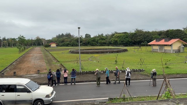 grønnebbkoel - ML655466224