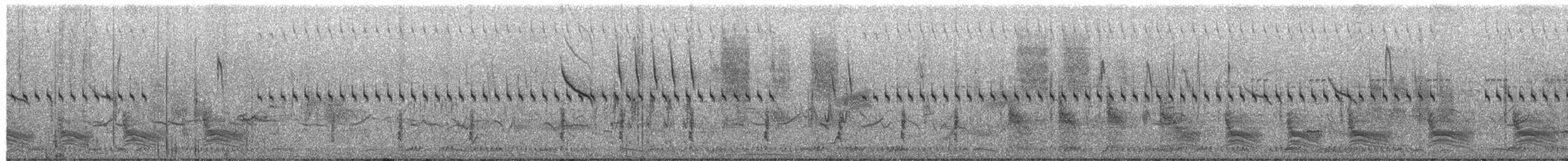 Three-streaked Tchagra - ML655486547