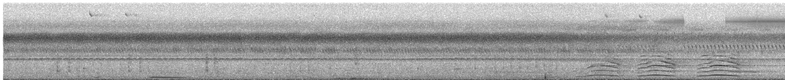 sovy sp. - ML655497517