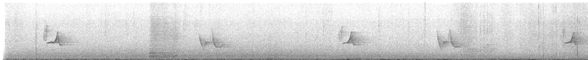 Graukopfvireo - ML655514471