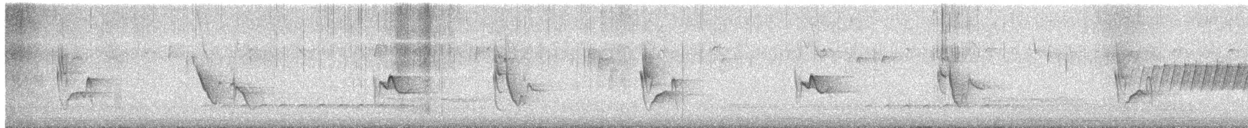 Graukopfvireo - ML655517064