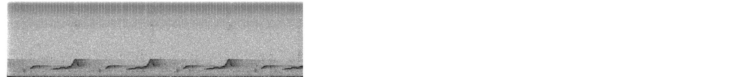 Chotacabras Cuerporruín Norteño - ML655539774