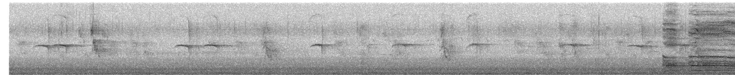 Papamoscas Acollarado - ML655539813