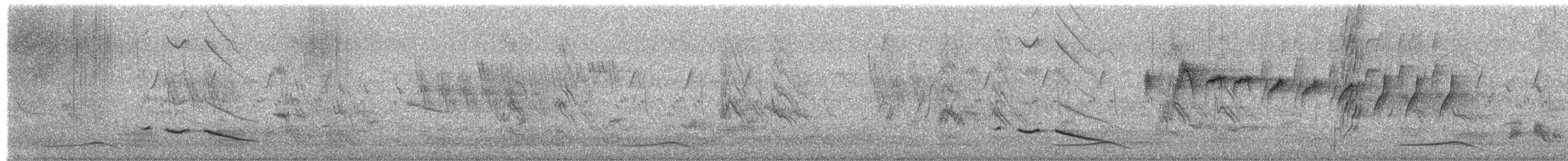 Iora Común - ML655539910