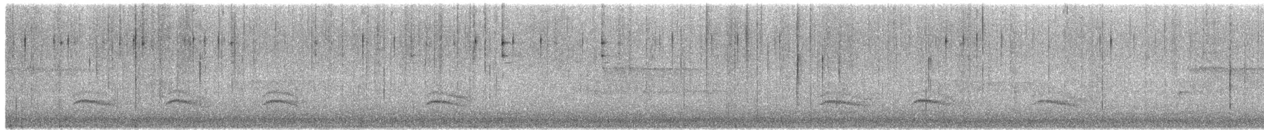 Trepador Pechiblanco - ML655540073