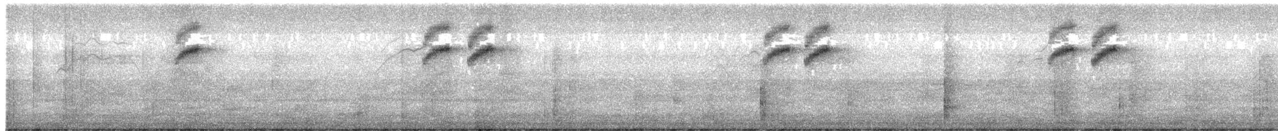 Azulito Angoleño - ML655540245