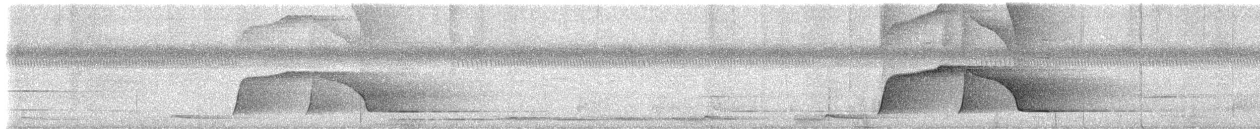 ムジカザリドリ - ML655555383