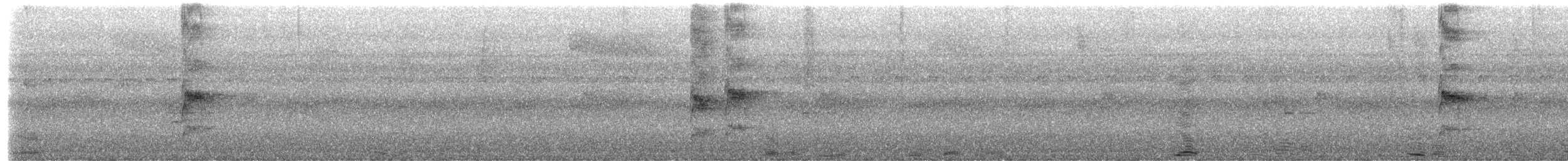Western Woodhaunter - ML655661730