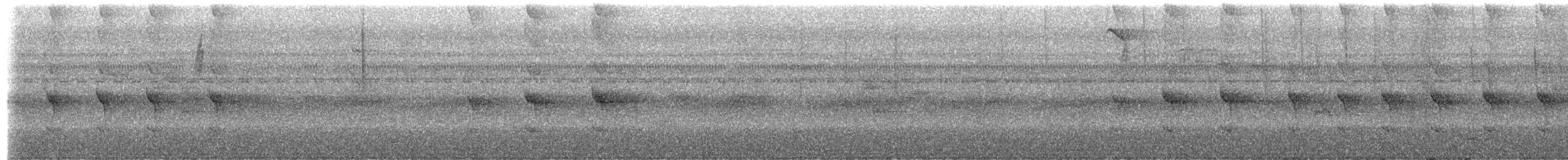 Western Woodhaunter - ML655661731