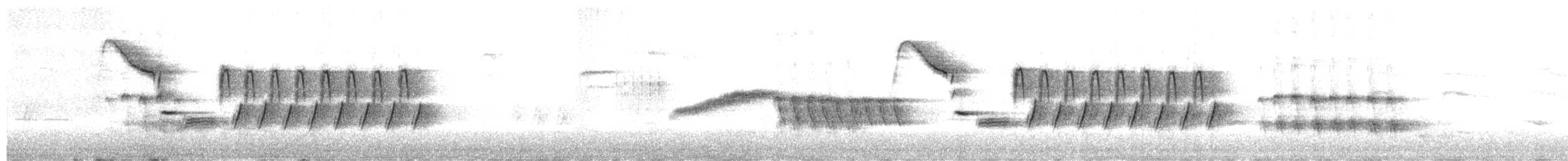 Bewick's Wren - ML655682467