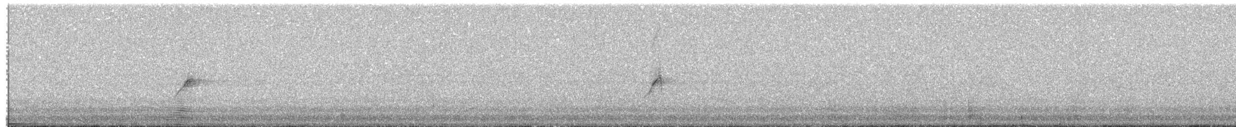 Cuban Pewee - ML655686227