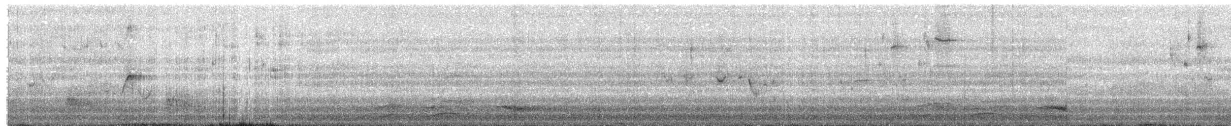 La Sagra's Flycatcher - ML655686299
