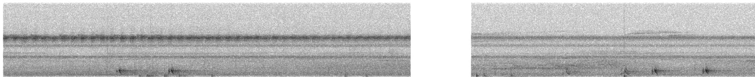 Cinnabar Boobook - ML655687918