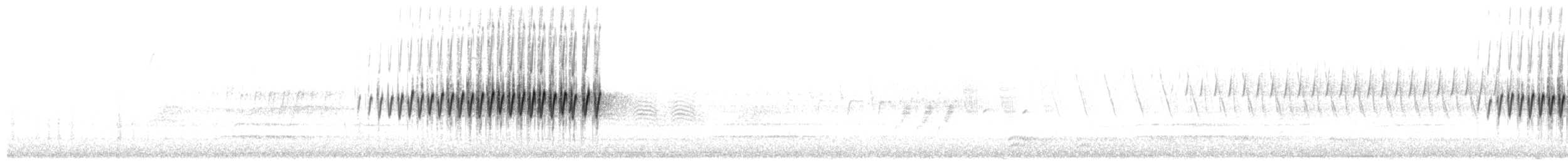 Pine Warbler - ML655697976
