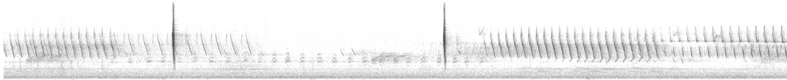 Pine Warbler - ML655697977