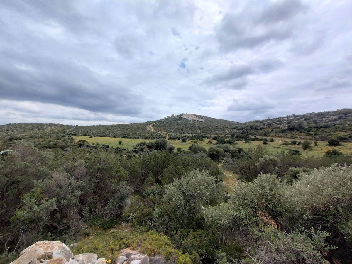 null - ML655698500