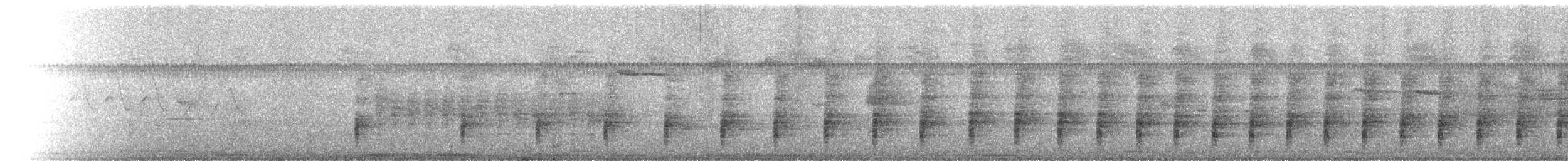 Ridgway's Rail (Yuma) - ML655729302