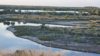 Cockroach Bay Preserve and Surrounding Area, Hillsborough, Florida ...