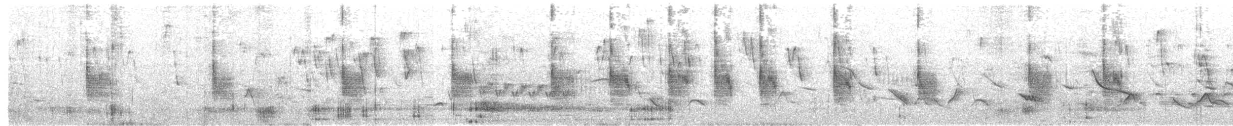 Short-billed Canastero - ML655794041