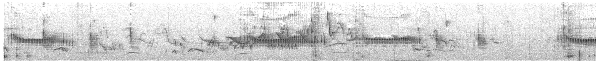 Short-billed Canastero - ML655794042