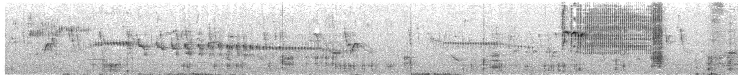 Short-billed Canastero - ML655794044
