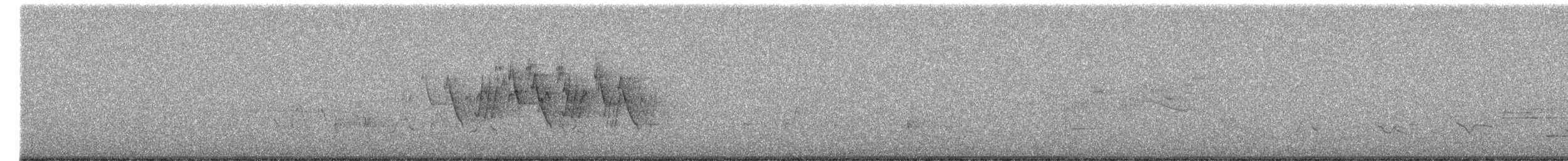 Macgillavray Ötleğeni - ML655806761
