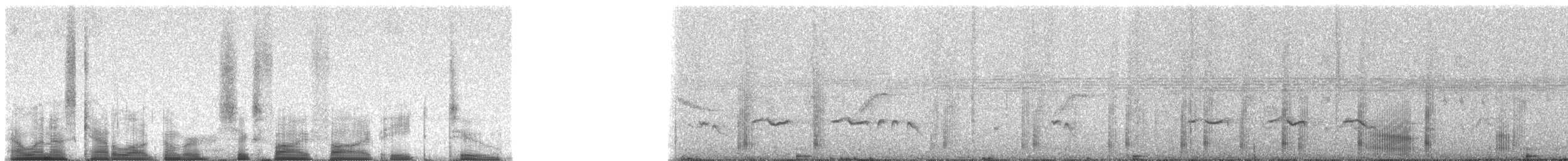 Doppelzahn-Bartvogel - ML65582