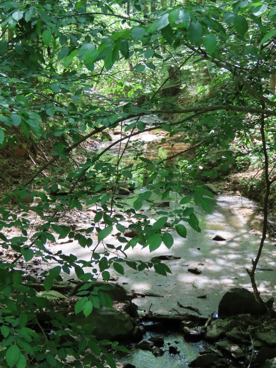 null - ML655843507