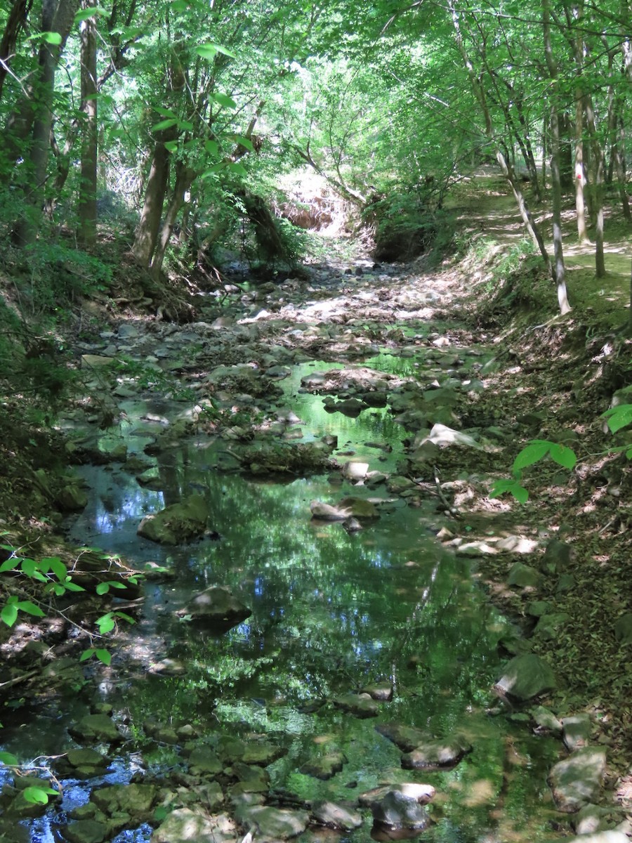 null - ML655843513