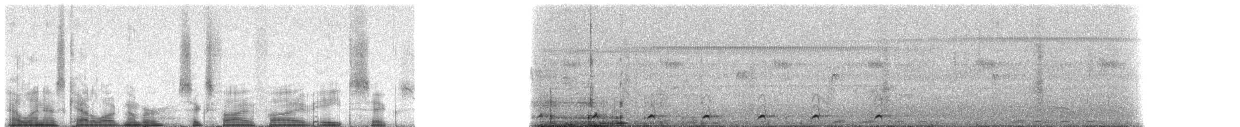 Spot-flanked Barbet - ML65586