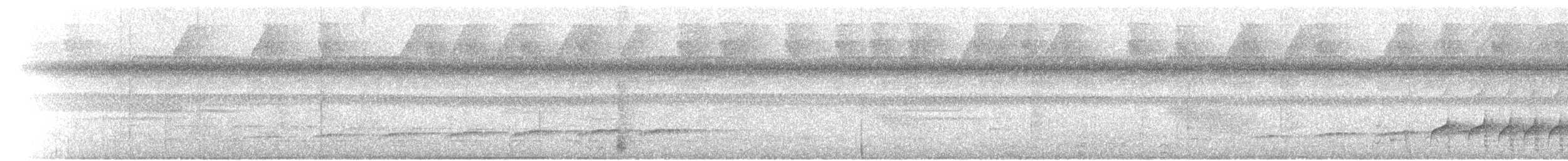 Лінивка-строкатка буровола - ML65586891