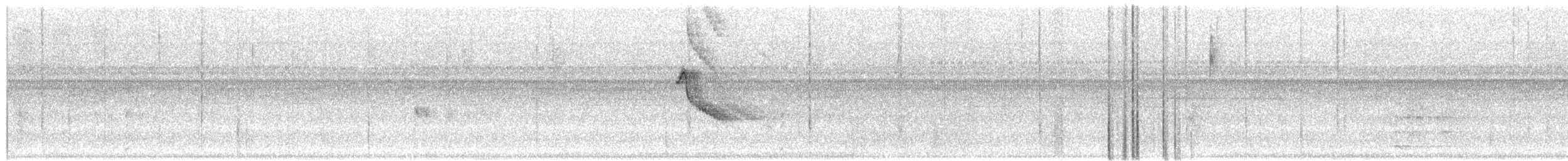 Grayish Baywing