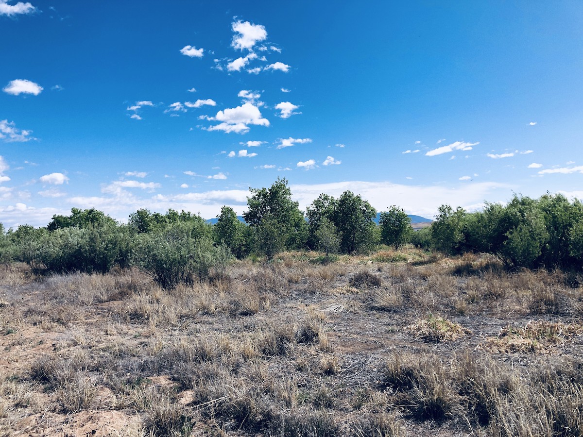 null - ML655875949