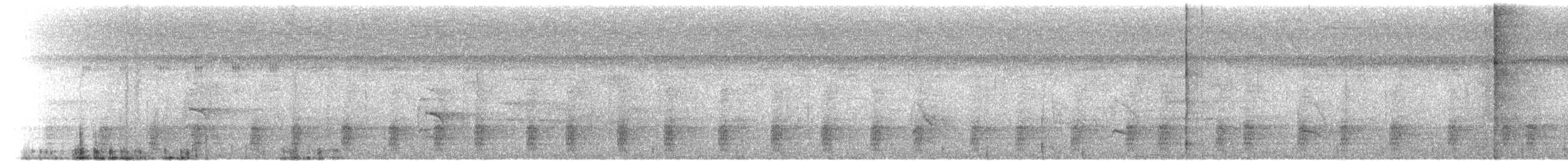 Lettered Aracari - ML65587931