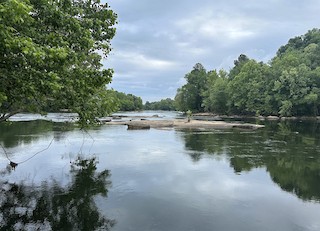 Saluda Riverwalk, Richland, South Carolina, United States - eBird Hotspot