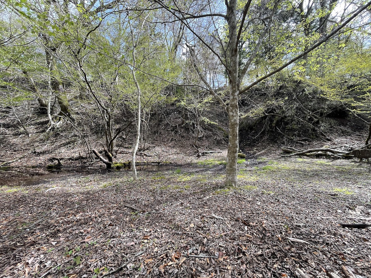 null - ML655911072