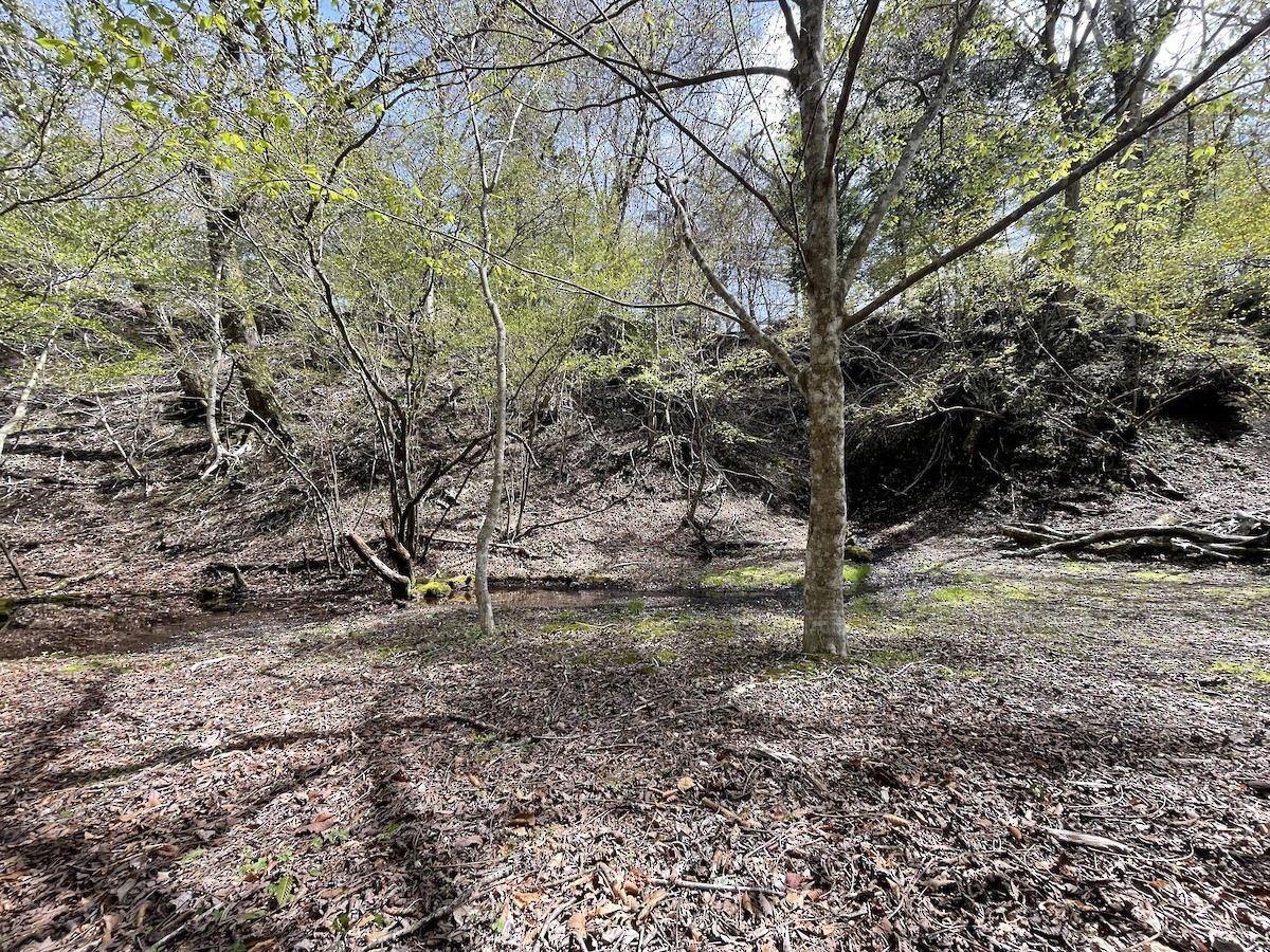 null - ML655911073