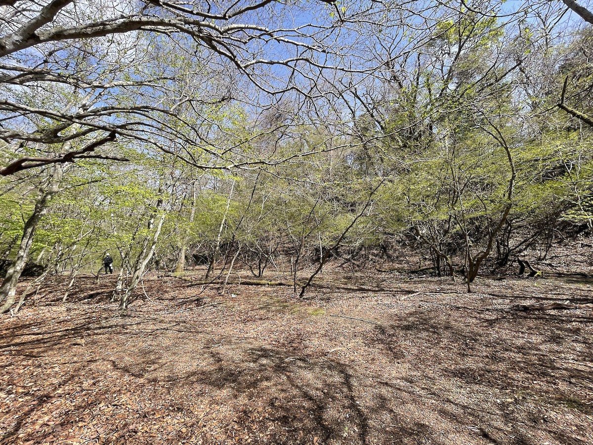 null - ML655911074