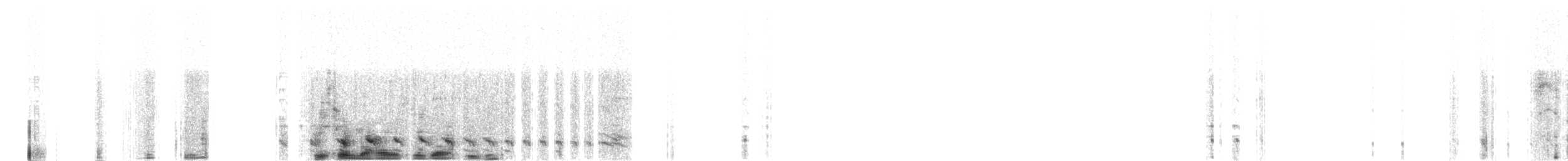 Сорокуш смугастий - ML655911122