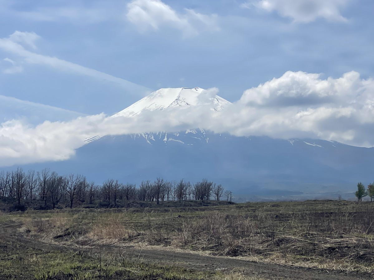 null - ML655911645