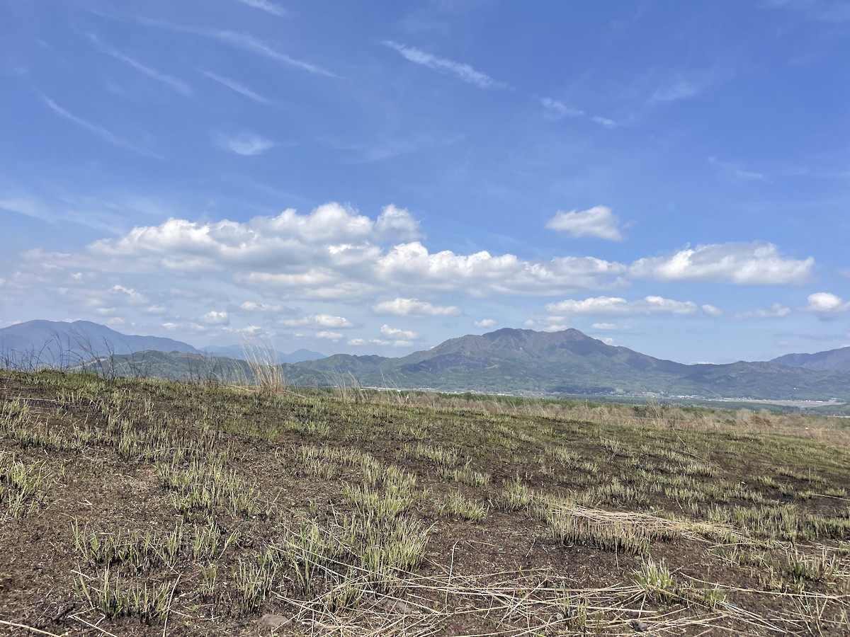 null - ML655911647