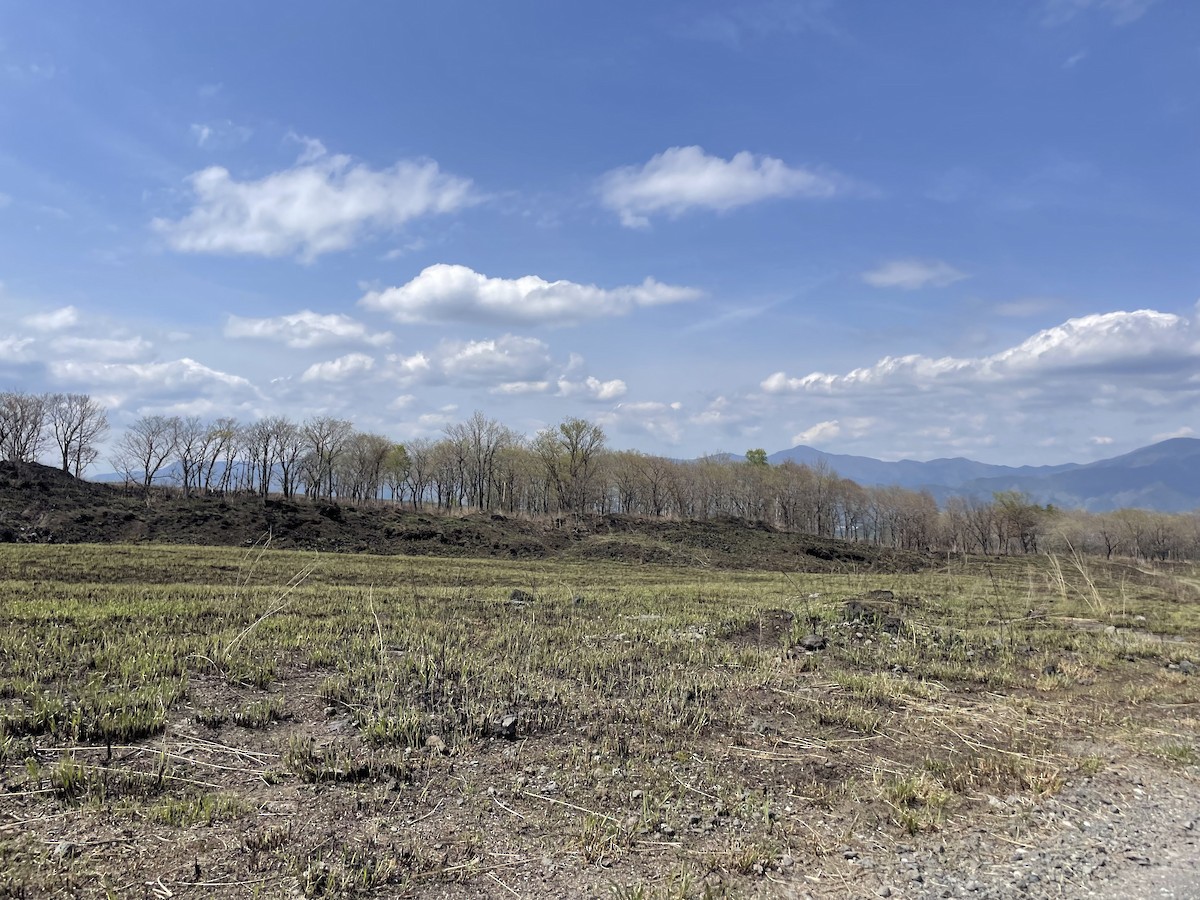 null - ML655911648