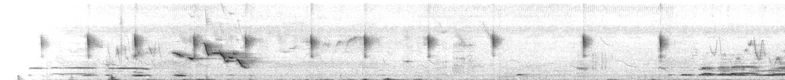 englerketrupial - ML655925091