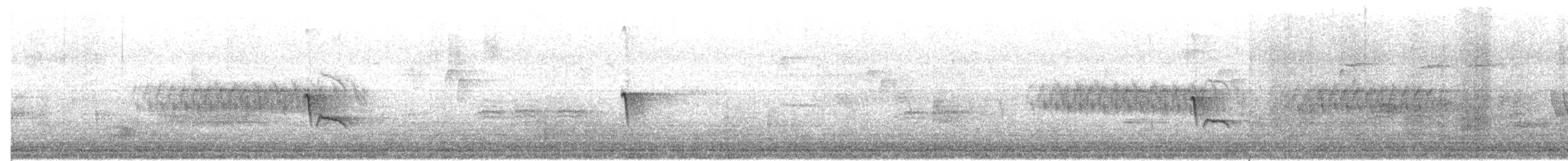 Eastern Phoebe - ML655981506