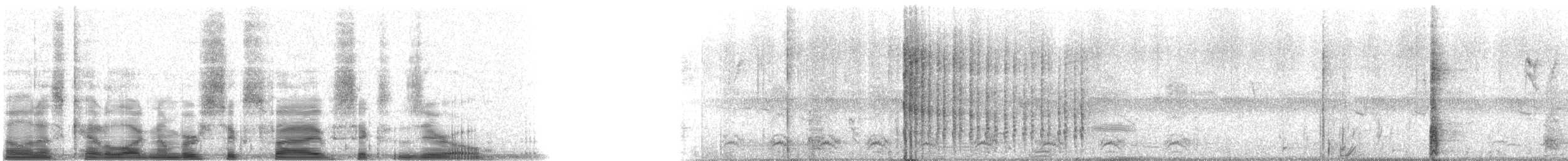 Belted Kingfisher - ML6560