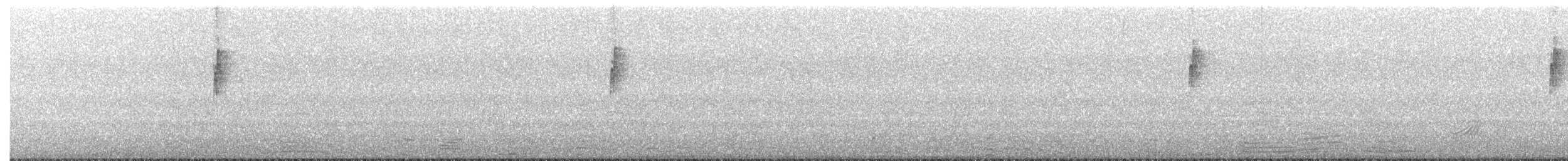 Пересмішник сірий - ML65603501